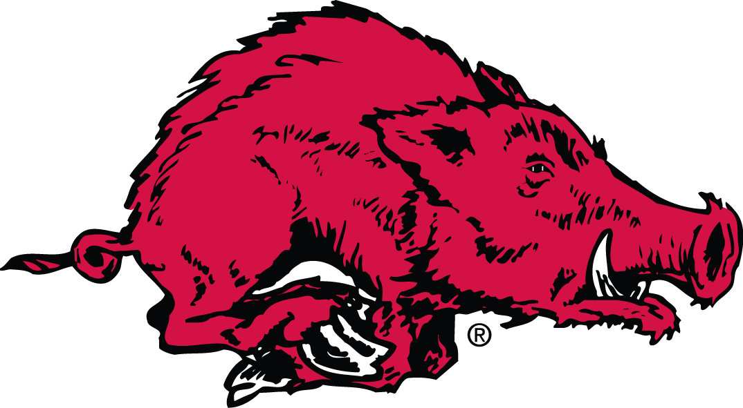 Arkansas Razorbacks DIY iron on transfers, heat transfer decals, t ...
