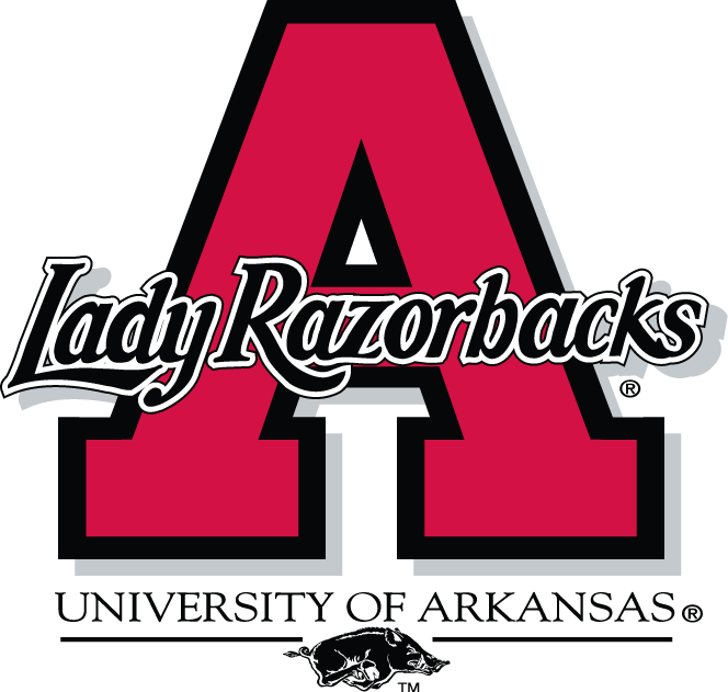 Arkansas Razorbacks DIY iron on transfers, heat transfer decals, t ...